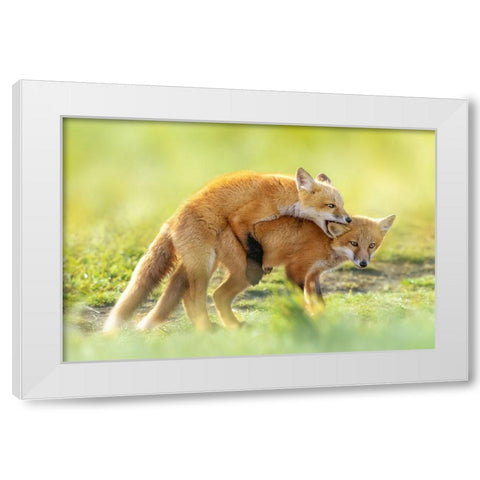 AnÂ‰AeÂˆÂ White Modern Wood Framed Art Print by Fengying Long