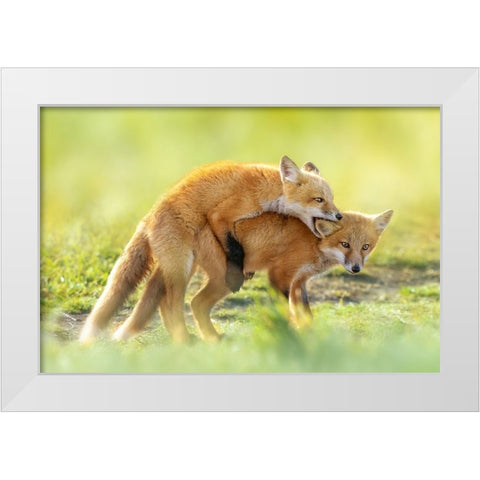 AnÂ‰AeÂˆÂ White Modern Wood Framed Art Print by Fengying Long