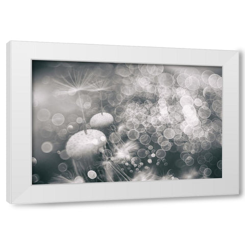 Extravaganza White Modern Wood Framed Art Print by Kopcev, Igor