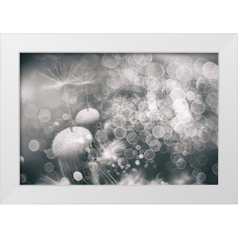 Extravaganza White Modern Wood Framed Art Print by Kopcev, Igor