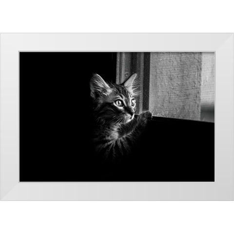 Leo White Modern Wood Framed Art Print by Alsharif, Yahia