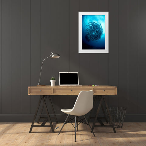 Fish Tornado White Modern Wood Framed Art Print by Y Lin, Ryan