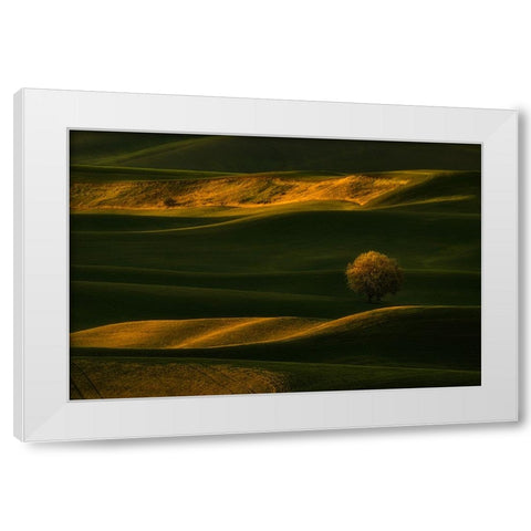 Bright Lonely Tree White Modern Wood Framed Art Print by Jacobs, Lydia