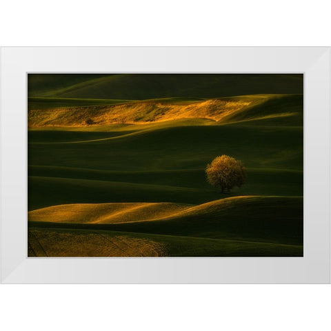 Bright Lonely Tree White Modern Wood Framed Art Print by Jacobs, Lydia