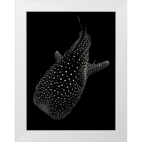 Spotted sea White Modern Wood Framed Art Print by Melesan, Serge