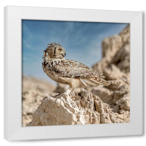 Pharaoh eagle owl White Modern Wood Framed Art Print by Elkahlawi, Ahmed