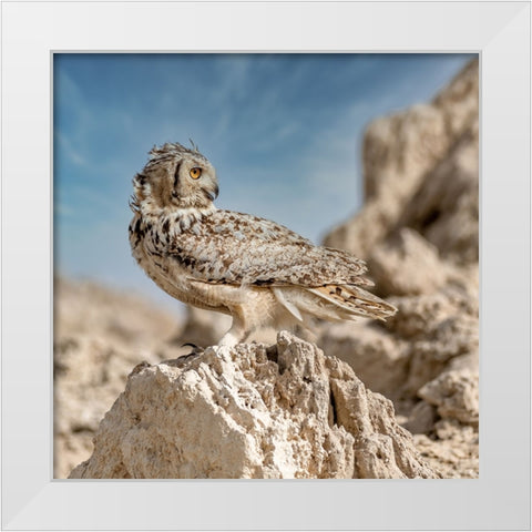 Pharaoh eagle owl White Modern Wood Framed Art Print by Elkahlawi, Ahmed