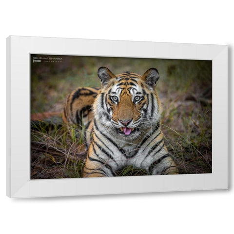 Cheeky Tiger White Modern Wood Framed Art Print by Sharma, Abhinav