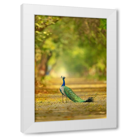 Wild is my favourite Color White Modern Wood Framed Art Print by Deep, Ujjawal