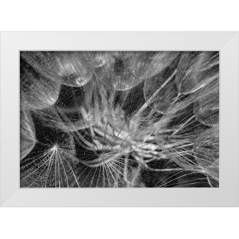 in to the mood White Modern Wood Framed Art Print by Amihai, Ilan