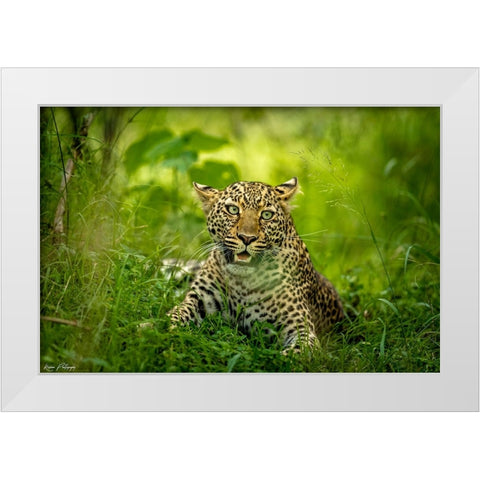 Panic Moment White Modern Wood Framed Art Print by Roshkumar