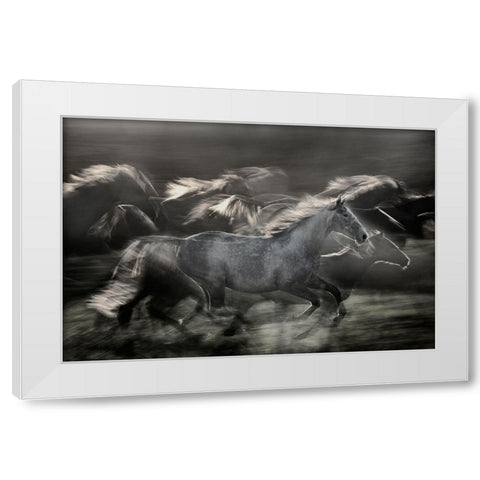 In Gallop White Modern Wood Framed Art Print by Malovrh, Milan