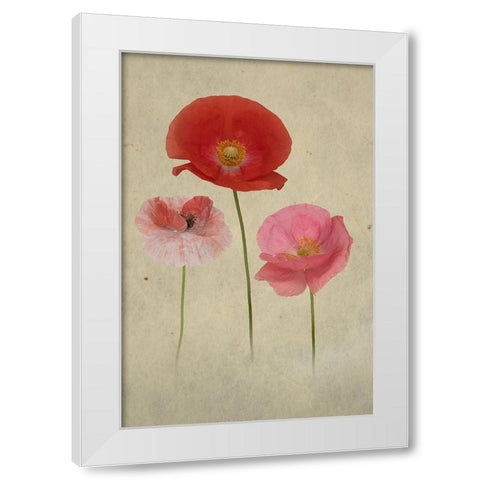 Friends White Modern Wood Framed Art Print by Urbanski, Richard