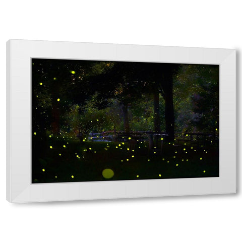 Amazing Fireflies Light White Modern Wood Framed Art Print by Liang, Ken
