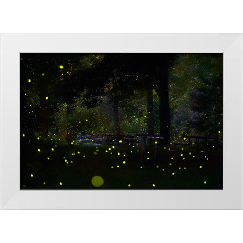 Amazing Fireflies Light White Modern Wood Framed Art Print by Liang, Ken