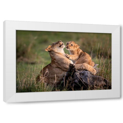 Reality In Life ..... White Modern Wood Framed Art Print by Roshkumar