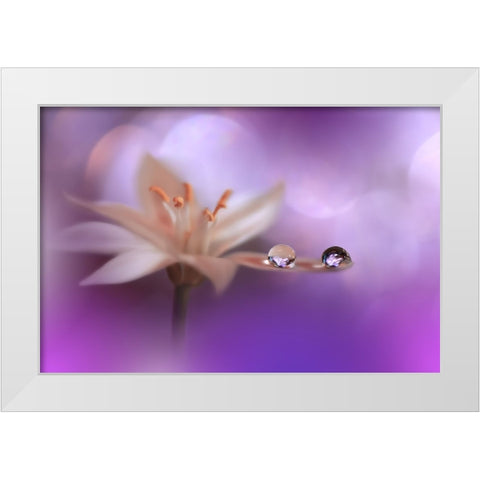 Purple Wind.. White Modern Wood Framed Art Print by Nan, Juliana