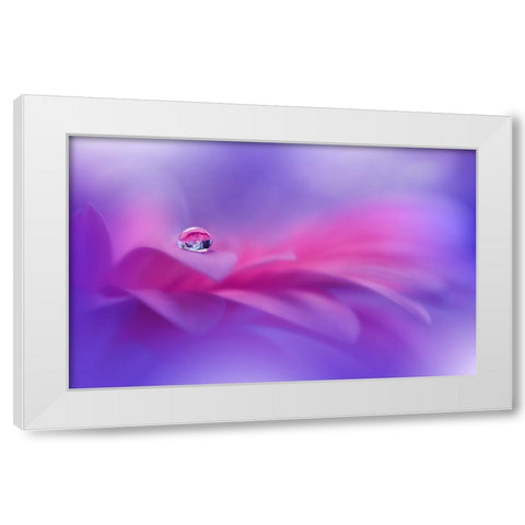 Celebration Of Life..II White Modern Wood Framed Art Print by Nan, Juliana