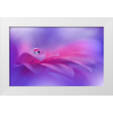 Celebration Of Life..II White Modern Wood Framed Art Print by Nan, Juliana