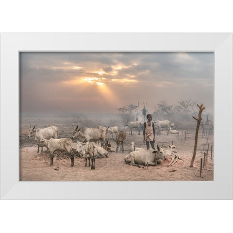 Enlightened White Modern Wood Framed Art Print by Cole, Trevor