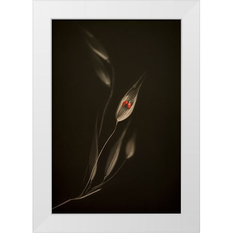 A Resting Place White Modern Wood Framed Art Print by Kiral, Cicek