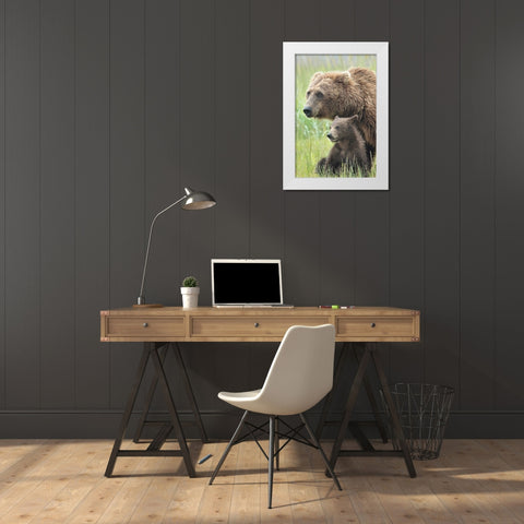 Momma Bear and Cub Portrait White Modern Wood Framed Art Print by D Lester, Linda
