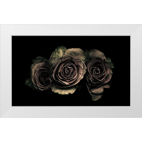 Roses White Modern Wood Framed Art Print by Julie, Angel