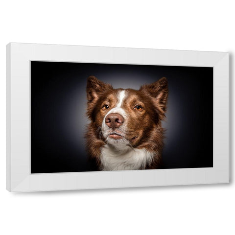 Qhow Are You Do In?Q White Modern Wood Framed Art Print by Irene Sattrup, Dorte