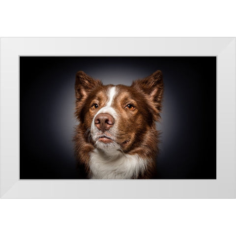 Qhow Are You Do In?Q White Modern Wood Framed Art Print by Irene Sattrup, Dorte