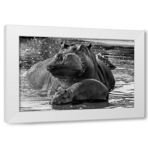 DonT Go Near It White Modern Wood Framed Art Print by Damico, Giuseppe