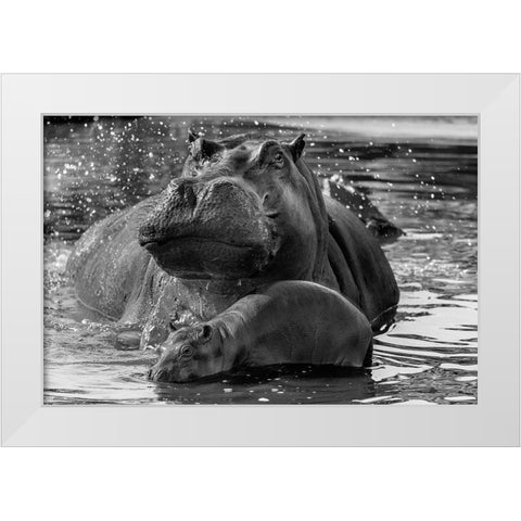 DonT Go Near It White Modern Wood Framed Art Print by Damico, Giuseppe