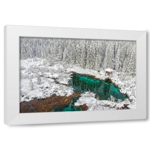 Winter Fairytale. White Modern Wood Framed Art Print by Balantic, Peter