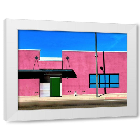 Facade - Joshua Tree-California White Modern Wood Framed Art Print by Orbach, Arnon
