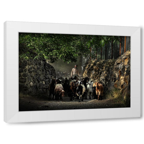 Nomads White Modern Wood Framed Art Print by Bahmani, Mitra
