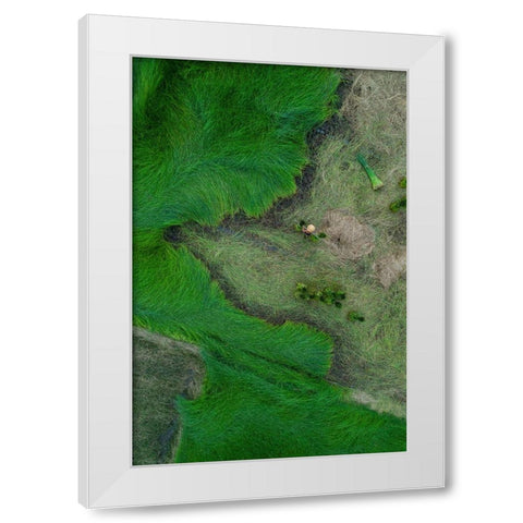 Harvesting Strabismus White Modern Wood Framed Art Print by Trung Dung, Ngo