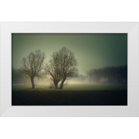 Morning Lights White Modern Wood Framed Art Print by Pessotto, Tommaso