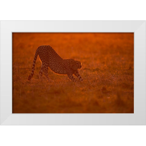 Relax At Dawn White Modern Wood Framed Art Print by Pozzi, Marco