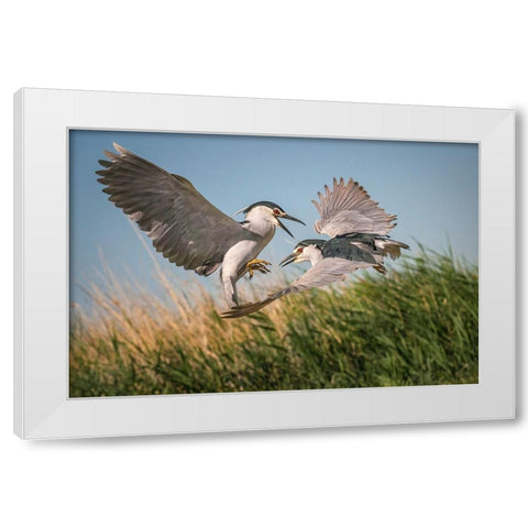 Courtship White Modern Wood Framed Art Print by Hu, Mei