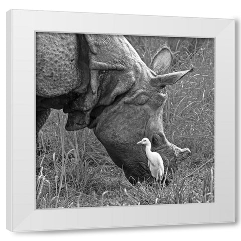 Beauty And The Beast! White Modern Wood Framed Art Print by Dhanorkar, Saurabh