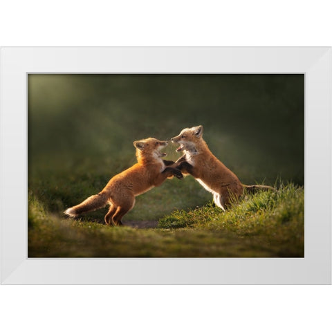 Playful White Modern Wood Framed Art Print by Li, Rob
