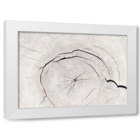 Texture 05 White Modern Wood Framed Art Print by 1x Studio III
