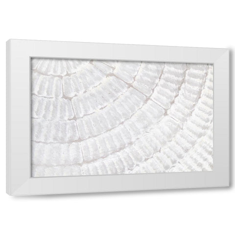 Texture 07 White Modern Wood Framed Art Print by 1x Studio III