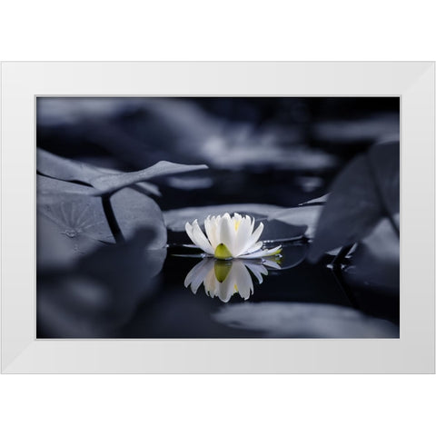 Water mirror White Modern Wood Framed Art Print by Suzuki, Takashi