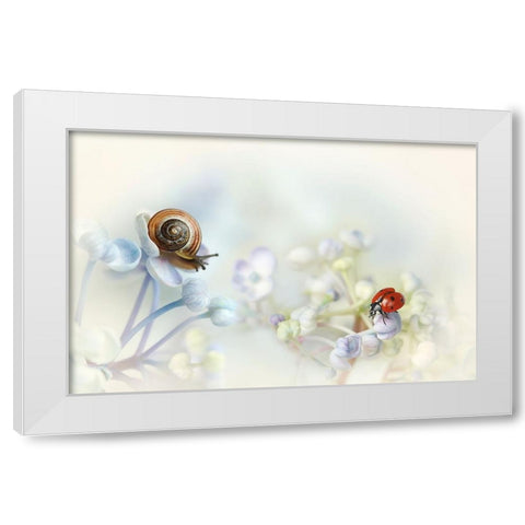 Snail And Ladybird On Hydrangea White Modern Wood Framed Art Print by Van Deelen, Ellen