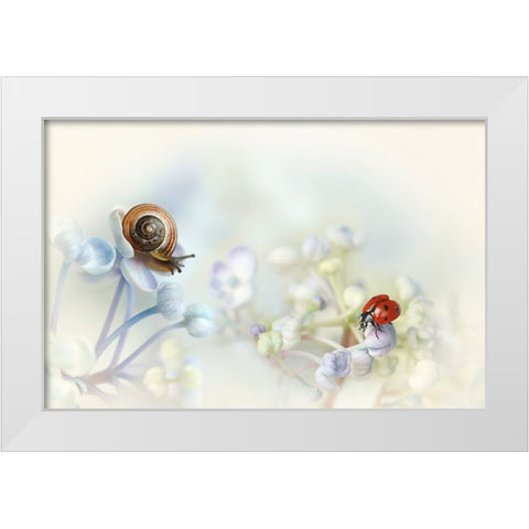 Snail And Ladybird On Hydrangea White Modern Wood Framed Art Print by Van Deelen, Ellen