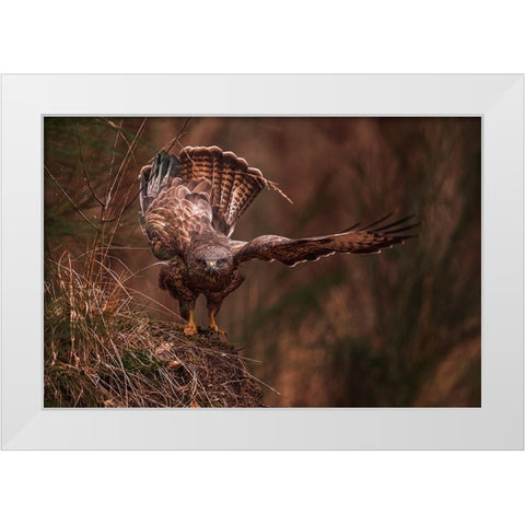 Going Away White Modern Wood Framed Art Print by J Ter, Gert