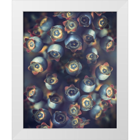 Blueberries White Modern Wood Framed Art Print by Zvinakeviciute, Kristina