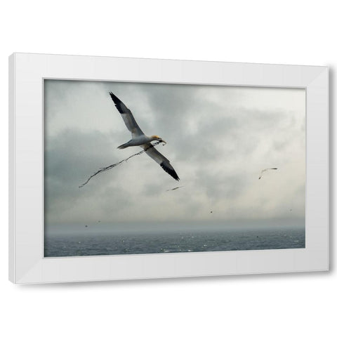 For The Nest White Modern Wood Framed Art Print by Pino, Emilio