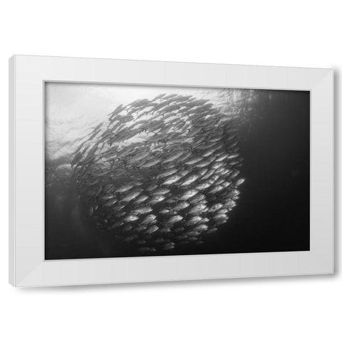 Ball White Modern Wood Framed Art Print by Y Lin, Ryan