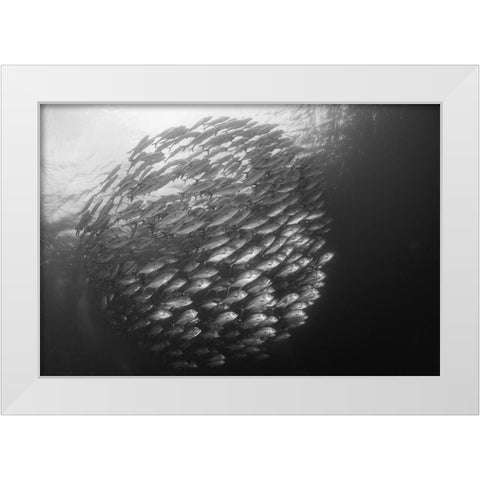 Ball White Modern Wood Framed Art Print by Y Lin, Ryan